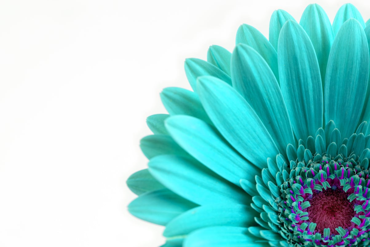 Turquoise Flower